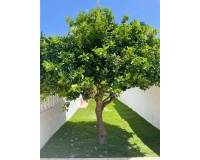 Alquiler a corto plazo - Chalet - Ciudad Quesada