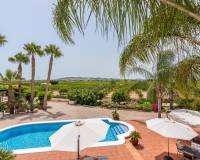 Resale - Finca - Rafal