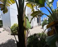 Resale - Villa - Ciudad Quesada - Doña Pepa