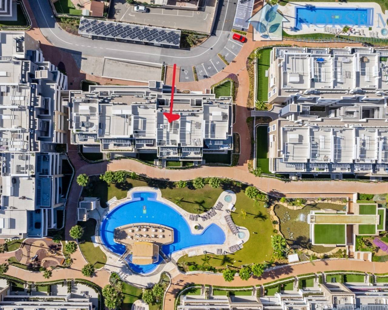 Toppleilighet - Bruktbolig - Orihuela Costa - Playa Flamenca