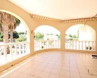 Venta - Finca - Daya Nueva