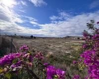 Venta - Parcela/Terreno - Muchamiel